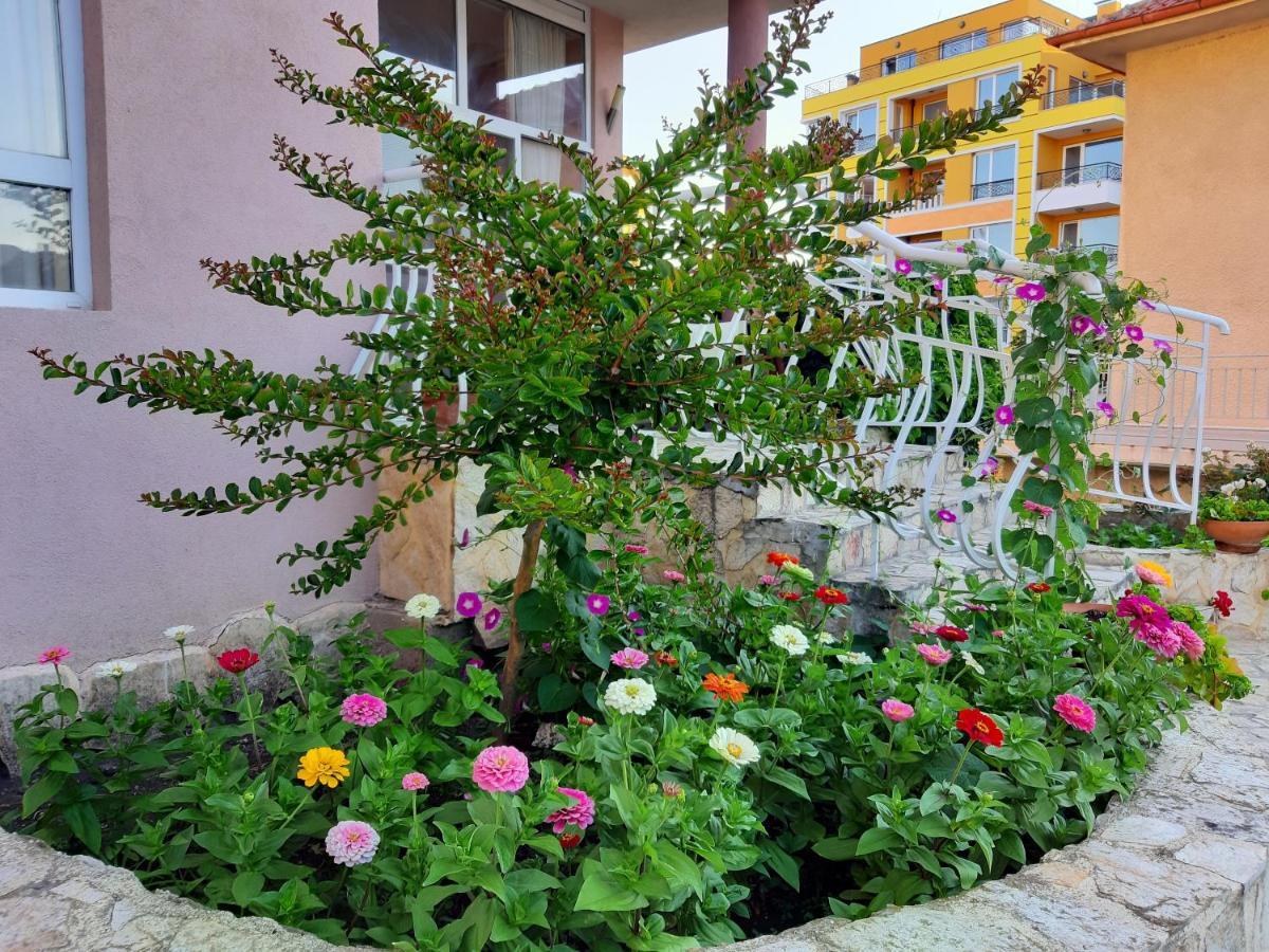 Guest Rooms Deva Burgas Exterior photo