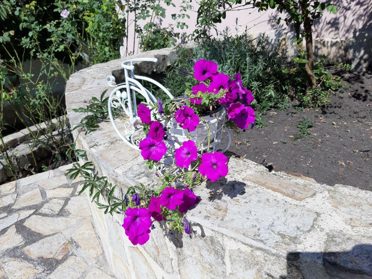 Guest Rooms Deva Burgas Exterior photo