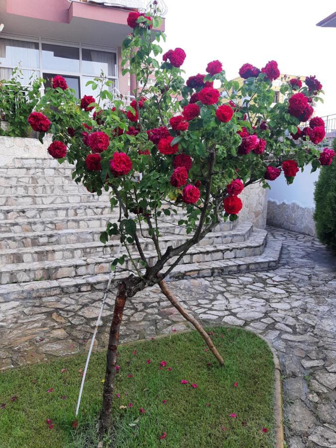 Guest Rooms Deva Burgas Exterior photo