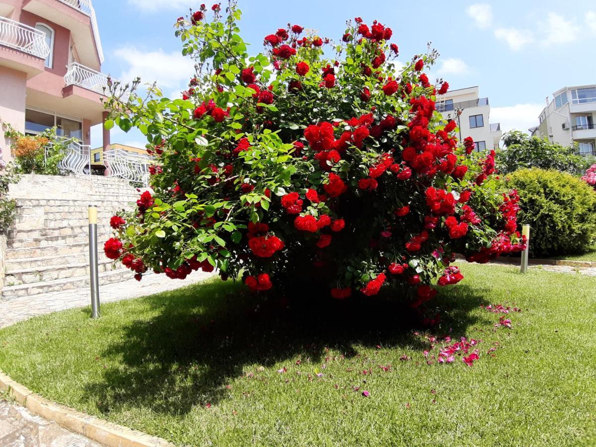 Guest Rooms Deva Burgas Exterior photo
